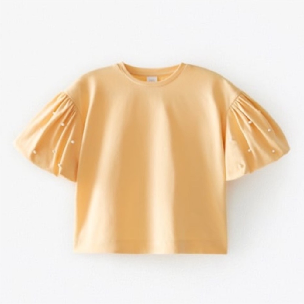Pearl Detailed, Puff Sleeve Blouse